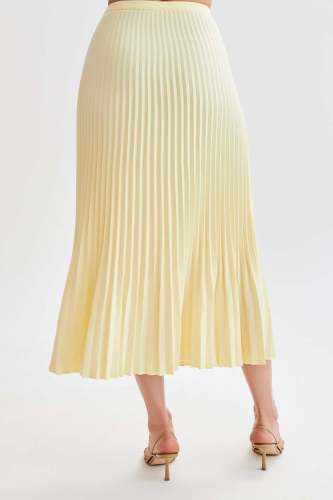 Solid Pleated Maxi Skirt